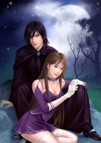 無雙贅婿(沈默蘇婉瑜)