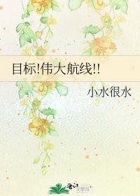 目标!伟大航线!!