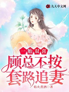 一胎雙喜:顧總不按套路追妻