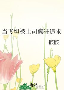 当飞坦被上司疯狂追求