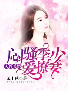 入骨暖婚：悶騷季少愛撩妻