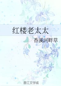 （红楼同人）红楼老太太